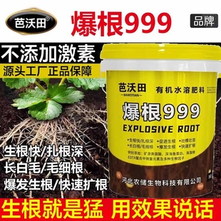 爆根999生根壮苗剂水溶肥料水溶肥冲施肥正品 根多多生根剂氨基酸