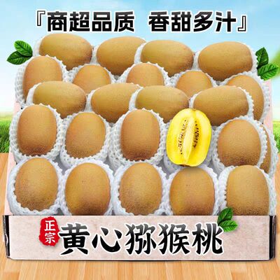 黄心猕猴桃河南金果金桃金艳新鲜水果奇异果孕妇水果整箱批彩箱装