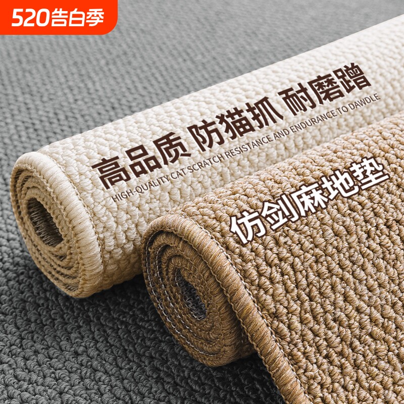 入户门地垫高级感新款耐脏免洗进门玄关门厅地毯大门口可裁剪脚垫