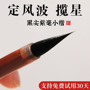 定风波毛笔细尖专业小楷书法专用黑尖紫毫揽星小楷笔高端高档文征