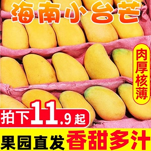 海南小台农芒果9斤新鲜当季时令水果金黄大甜心小台芒整箱包邮10