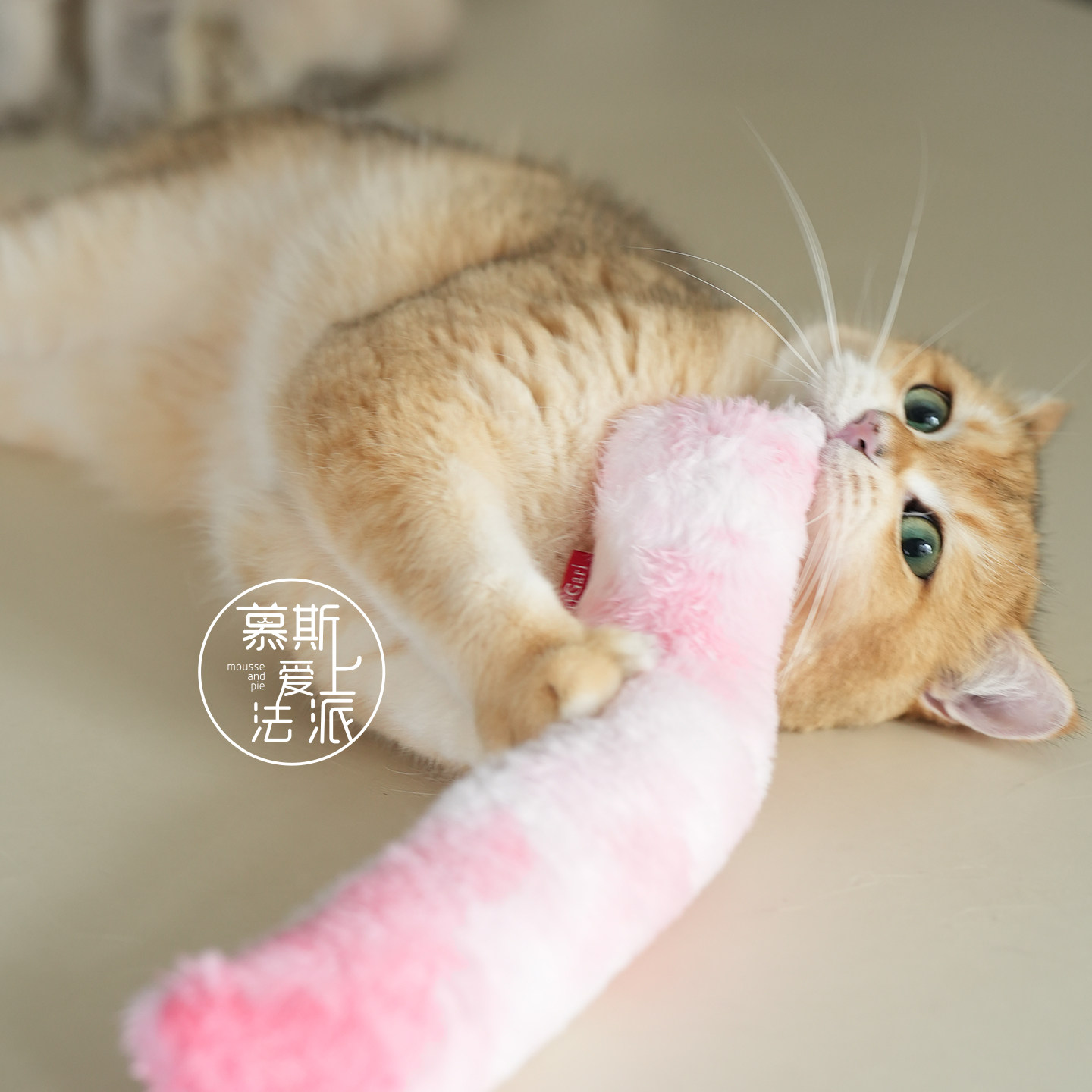 猫咪世界猫薄荷踢踢棒抱枕