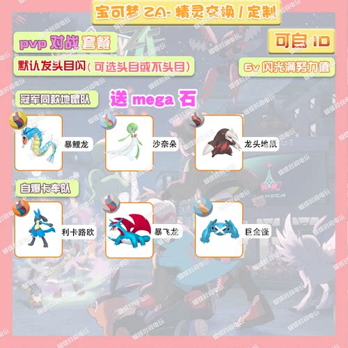 switch 宝可梦ZA pvp对战套餐送mega石 定制头目6V闪光自ID