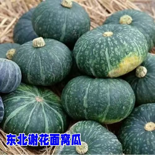 东北谢花面窝瓜粉面糯好吃包邮