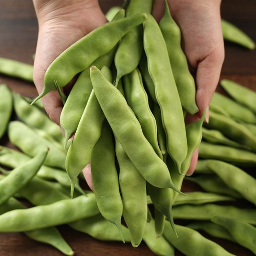 东北新鲜油豆角紫大花油豆开锅烂