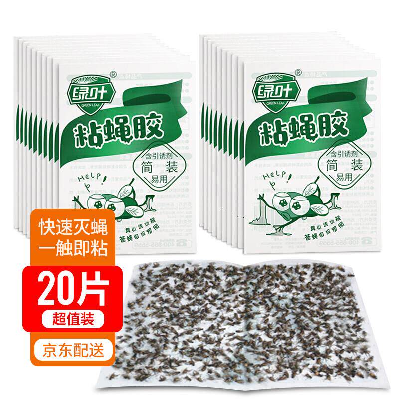 绿叶 粘蝇板 苍蝇粘板 灭苍蝇神器苍蝇胶粘捕蝇器胶粘 100片装 GL