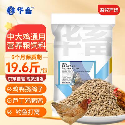 华畜中大鸡饲料禽料雏鸡鸭子产蛋鹌鹑鸽子鸟粮碎颗粒蛋鸡鸭鹅钓鱼