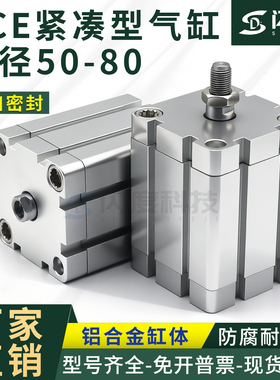 ACE气缸亚德客型50/63/80*5X10X30X50X80X100外牙内牙B/-SB带磁