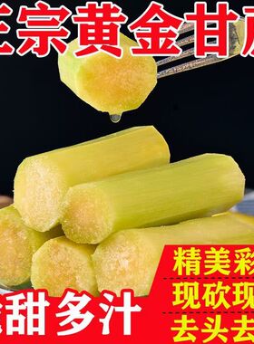 云南黄金甘蔗新鲜现砍当季水果黄皮甘蔗脆甜多汁彩箱甘蔗新鲜批发