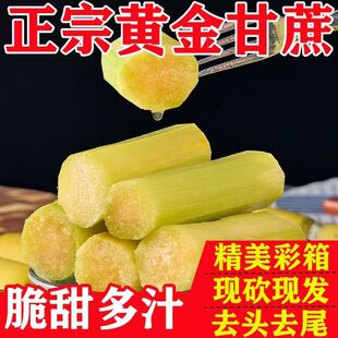 云南黄金甘蔗新鲜现砍当季 水果黄皮甘蔗脆甜多汁彩箱甘蔗新鲜批发