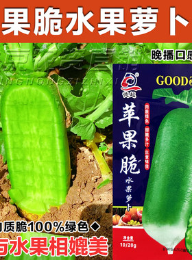苹果脆水果萝卜种子种籽子