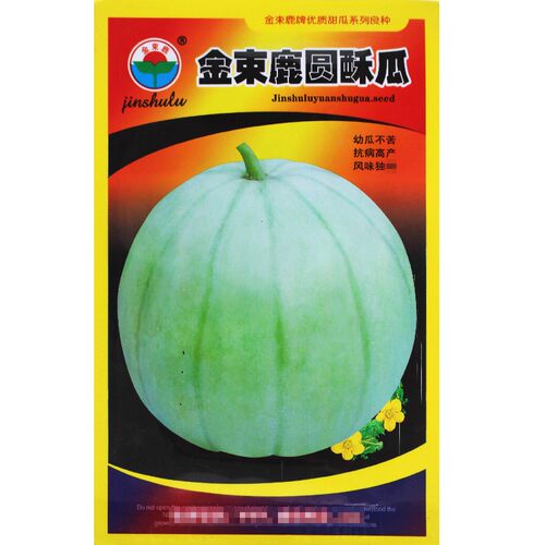 金束鹿圆酥瓜种子圆脆瓜种籽