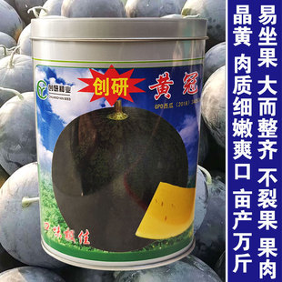 黑皮黄瓤无籽西瓜种子超甜特大巨型四季春季懒汉南方种籽蔬菜种孑