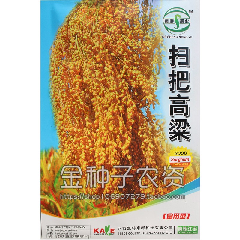 德胜扫把高粱 扫帚红高粱种子 北方甘蔗 酿酒食用牧草 庭院绿化