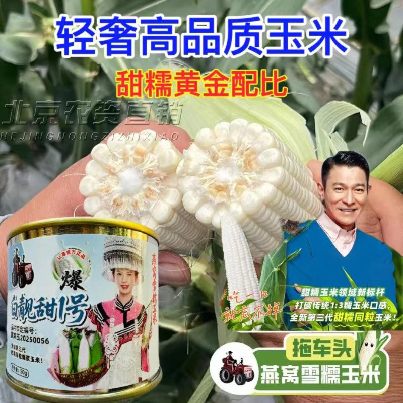 白靓甜1号糯玉米种子高产高品质甜糯玉米种春夏秋播燕窝雪糯玉米,农用物资,玉米种子/种苗,淘宝优惠券,粉丝福利购,淘宝优惠卷
