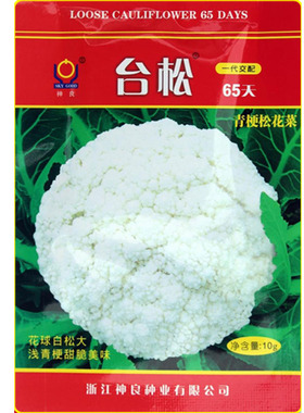 台松65天菜花种子 早中熟花椰菜松花菜蔬菜籽 耐热耐湿 春秋