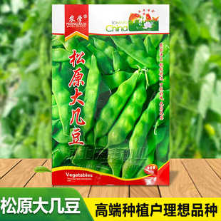 松原大几豆豆角种子东北新籽几豆角籽油豆角子搭架鼓豆面白芸豆孑