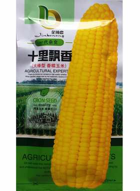 十里飘香黄糯玉米种子大田高产黄色糯玉米香糯皮薄无渣大棒玉米籽