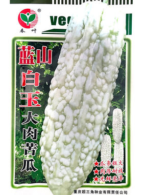 蓝山白玉大肉苦瓜长白苦瓜种子四季播种白色苦瓜大田庭院蔬菜种籽