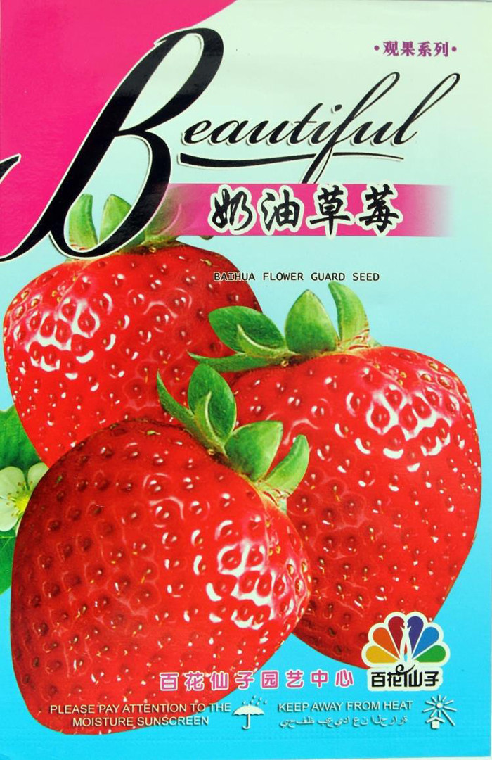 红奶油草莓 家庭易种盆栽红颜草莓 攀缘 四季播种草莓种子 春夏播