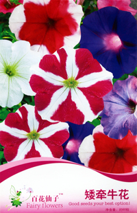 矮牵牛花种子 多年生观赏型花卉籽 绿植绿化 阳台盆栽庭院 四季播