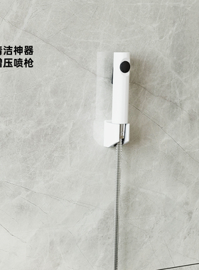 科勒马桶喷枪伴侣妇洗器增压清洗浴室卫生间冲洗器R98100T-B-0