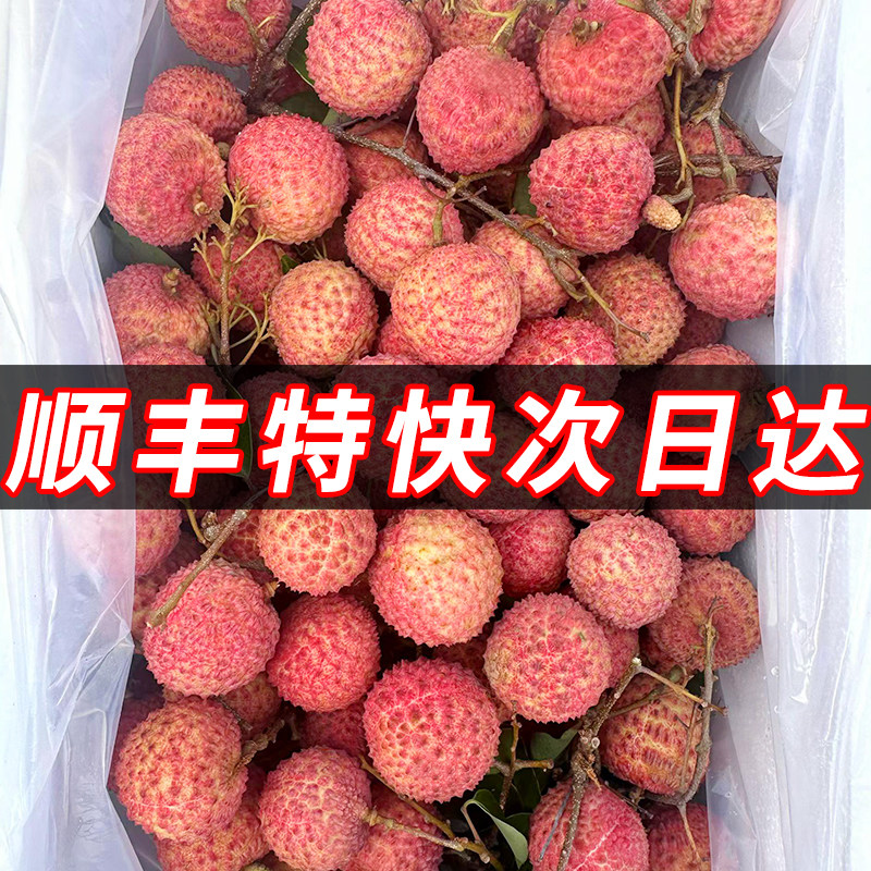 老树荔枝现摘当季水果超甜