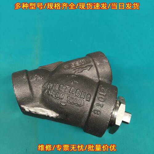 D55205 Y型过滤器 阿姆斯壮 T316 1英寸议价维修