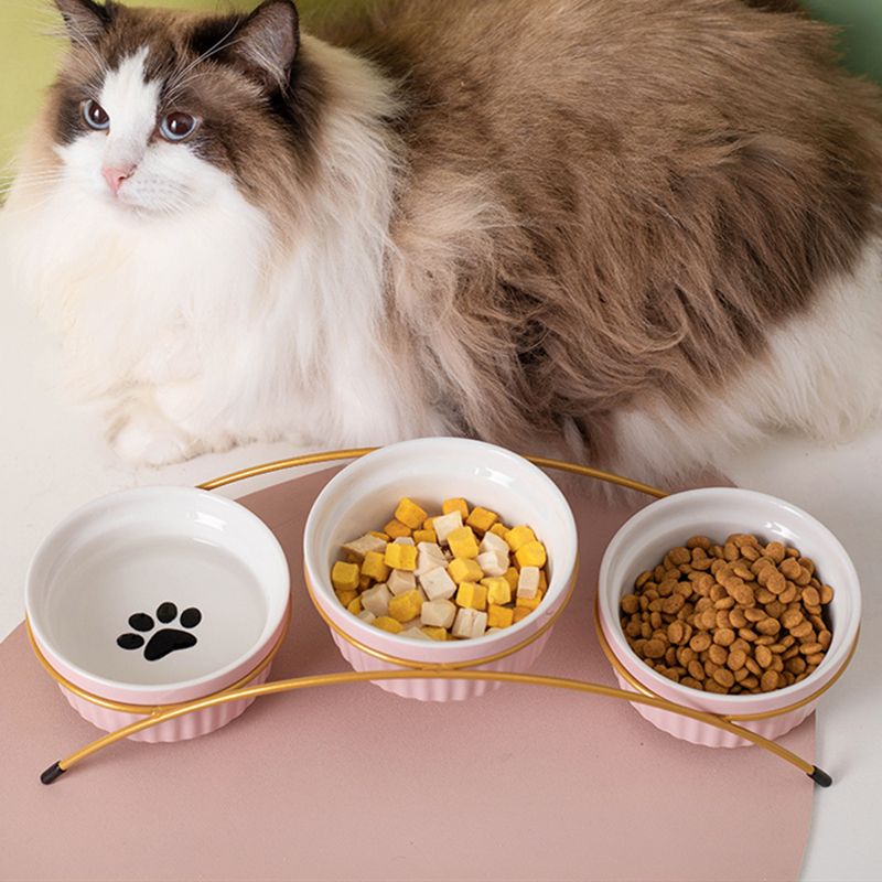 三碗猫碗陶瓷双碗猫咪食碗狗狗碗食盆保护颈椎饭碗喝水碗四碗饭盆-封面