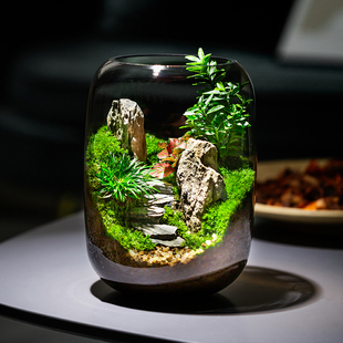 定制青山创意苔藓微景观摆件生态瓶办公室桌面生态缸绿植造景盆景
