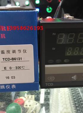 科洋仪电 TCD-6000 TCD-B6131 E型 0-300℃ 智能温度调节仪