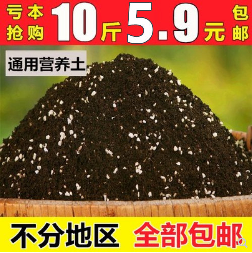 花土营养土大包通用型种植土多肉土绿萝专用土多肉植物花泥土包邮
