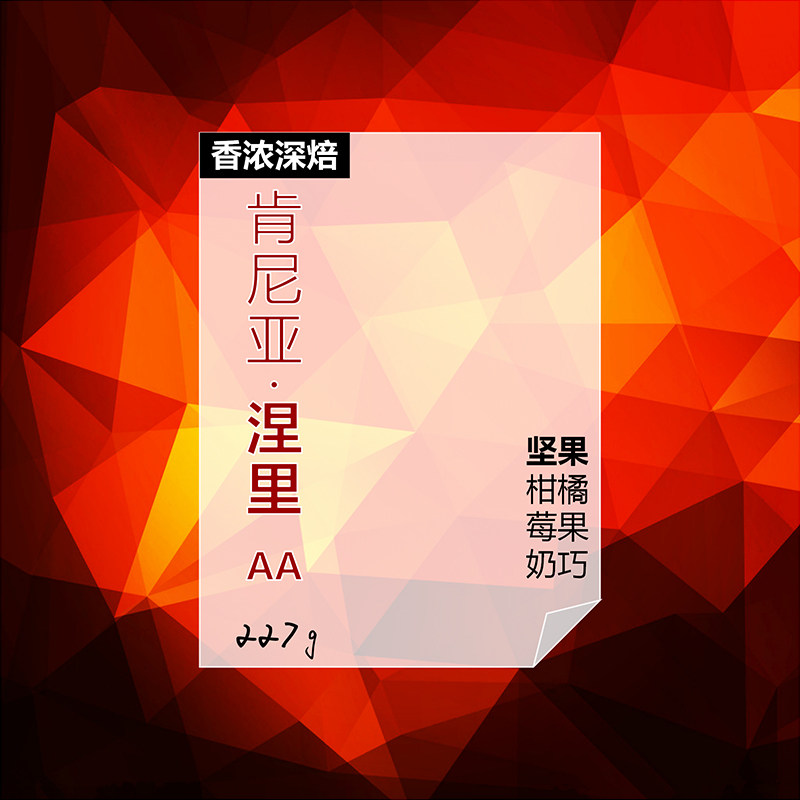 嗜趣 肯尼亚 深度烘焙 特选级涅里aatpo 手冲精品单品咖啡豆 227g