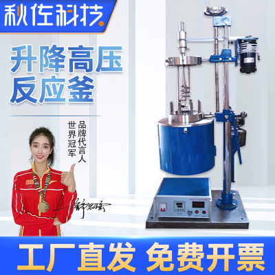 科技升降高压反应釜不锈钢机械搅拌FCF-1L100L实验室氢化釜