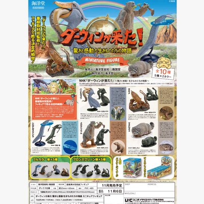 预定Kaiyod海洋堂《达