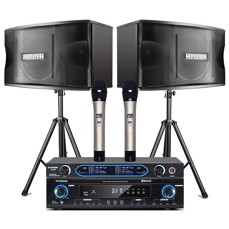 现代 家庭KTV音响套装功放音箱全套家用会议舞蹈室卡拉OK影院唱歌