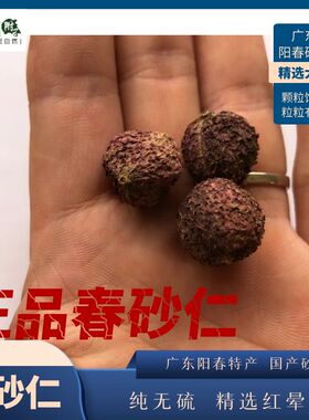 采林优选  砂仁精选阳春砂仁 颗粒饱满 紫色   选货广东阳春砂仁