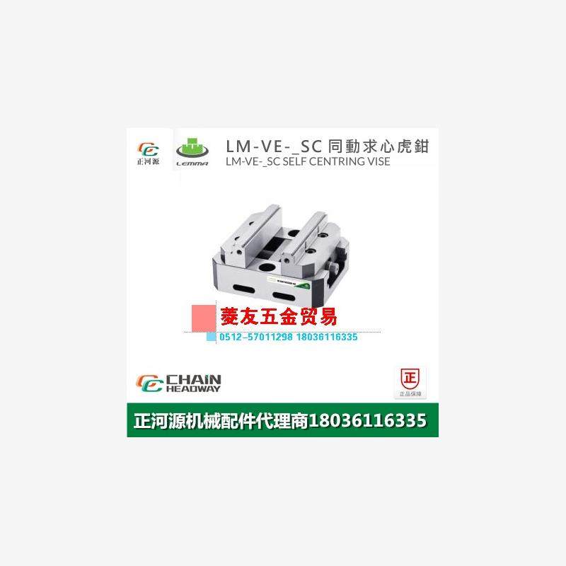 台湾LEMMA正河源-VSC同动