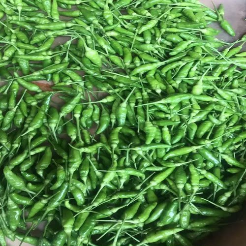 新鲜小雀辣椒农家自种小米辣超辣辣椒泡椒现摘