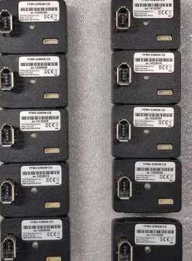 POINT GREY灰点 FFMV-03M2M -CS 黑白