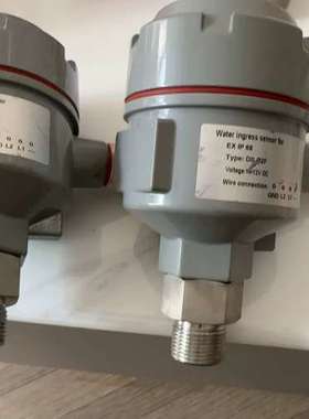 Water ingress sensor for EX IP