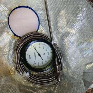 NESS温度表4.8米线