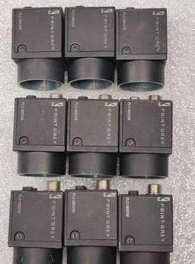 Point Grey灰点 Flea2 FL2-08S2M I