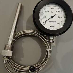 THERMOMETER NESS 耐震温度计