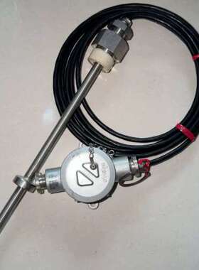 Terasaki Meiyō温度传感器，型号PTR-M，日本