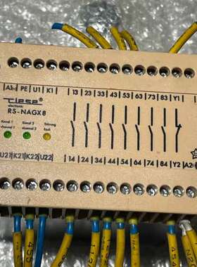 德国RIESE安全继电器 RS-NAGX8 AR.9618.
