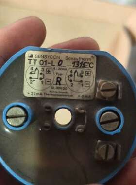 SENSYCON温度变送器 TT01-L 型号 1315°C