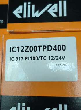 IC917 PT100 12/24V   IC12Z00TP