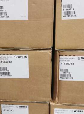 怀特摆线马达OMPX315 11186712