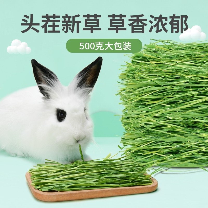包邮提摩西草兔兔干草豚鼠绿提木西牧草兔粮不是苜蓿草粮500g装